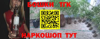 стафф Кимры