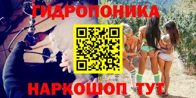 стафф Кимры