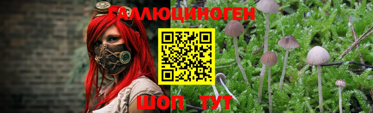 Псилоцибиновые грибы мухоморы Усинск